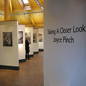 about Joyce Pinch exhibitions